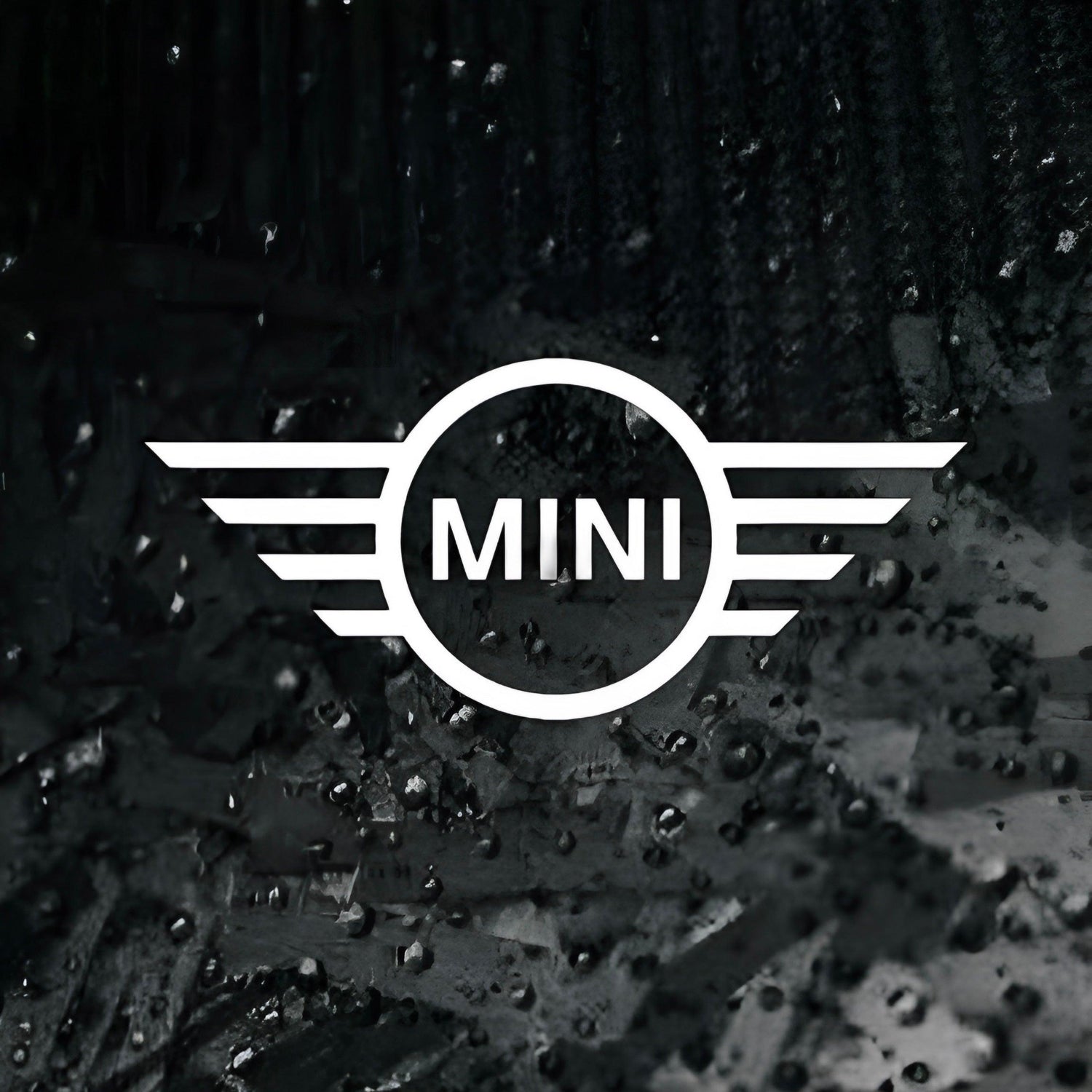 MINI Carbon Fiber Parts – Performance Meets Style - RSI c6