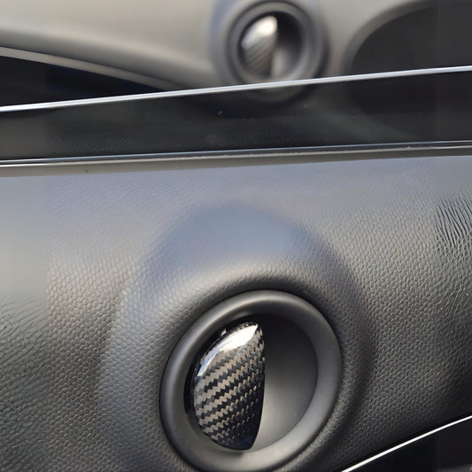 Door Pull Overlays Carbon - MINI R60 Countryman - RSI c6